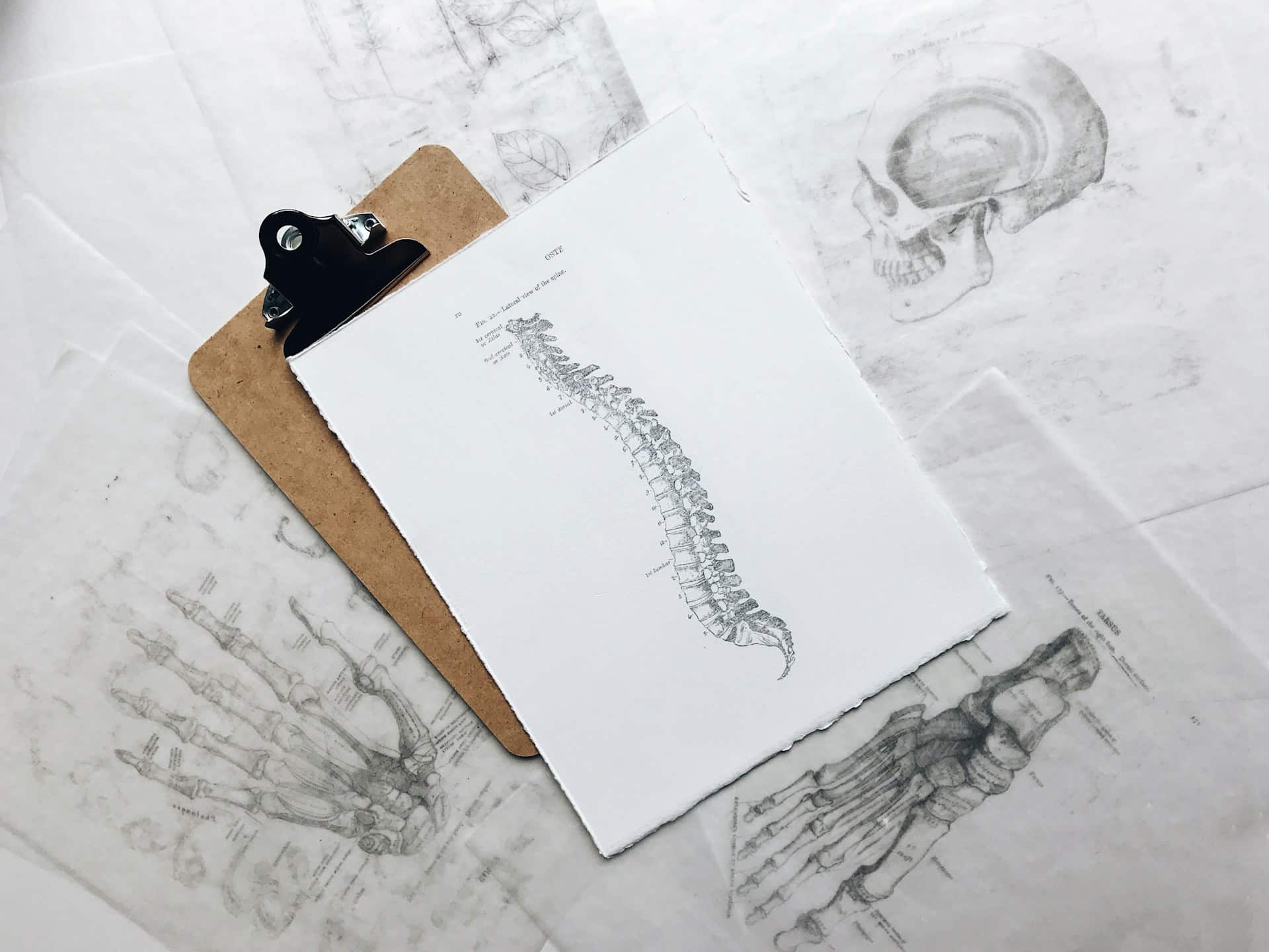 diagrama de la columna vertebral ciatica embarazo cuanto dura